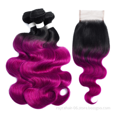 Royce Wholesale Price Cuticle Aligned Human Hair Bundles with Closure Indian hair Body Wave Ombre Color Hair Bundles